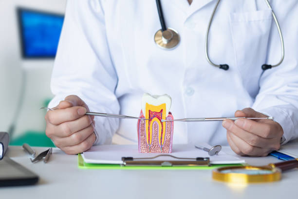 Best Emergency Wisdom Teeth Removal in Elberta, AL